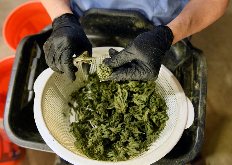 System crash snarls dispensary sales on 4/20, the biggest marijuana holiday of the year