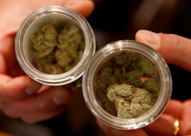 Fullerton hires part-time staffer to weed out unlicensed cannabis businesses